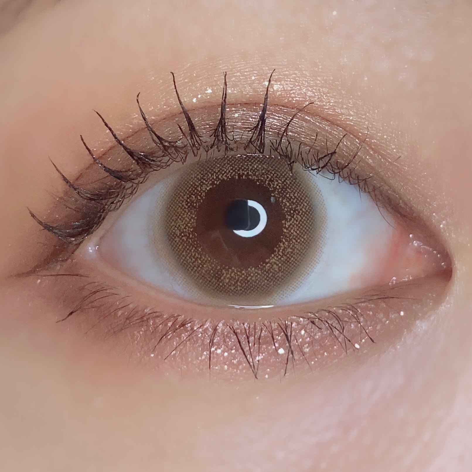 Vintage Hazel [Bambi Series] | 1day Colored Contact Lens