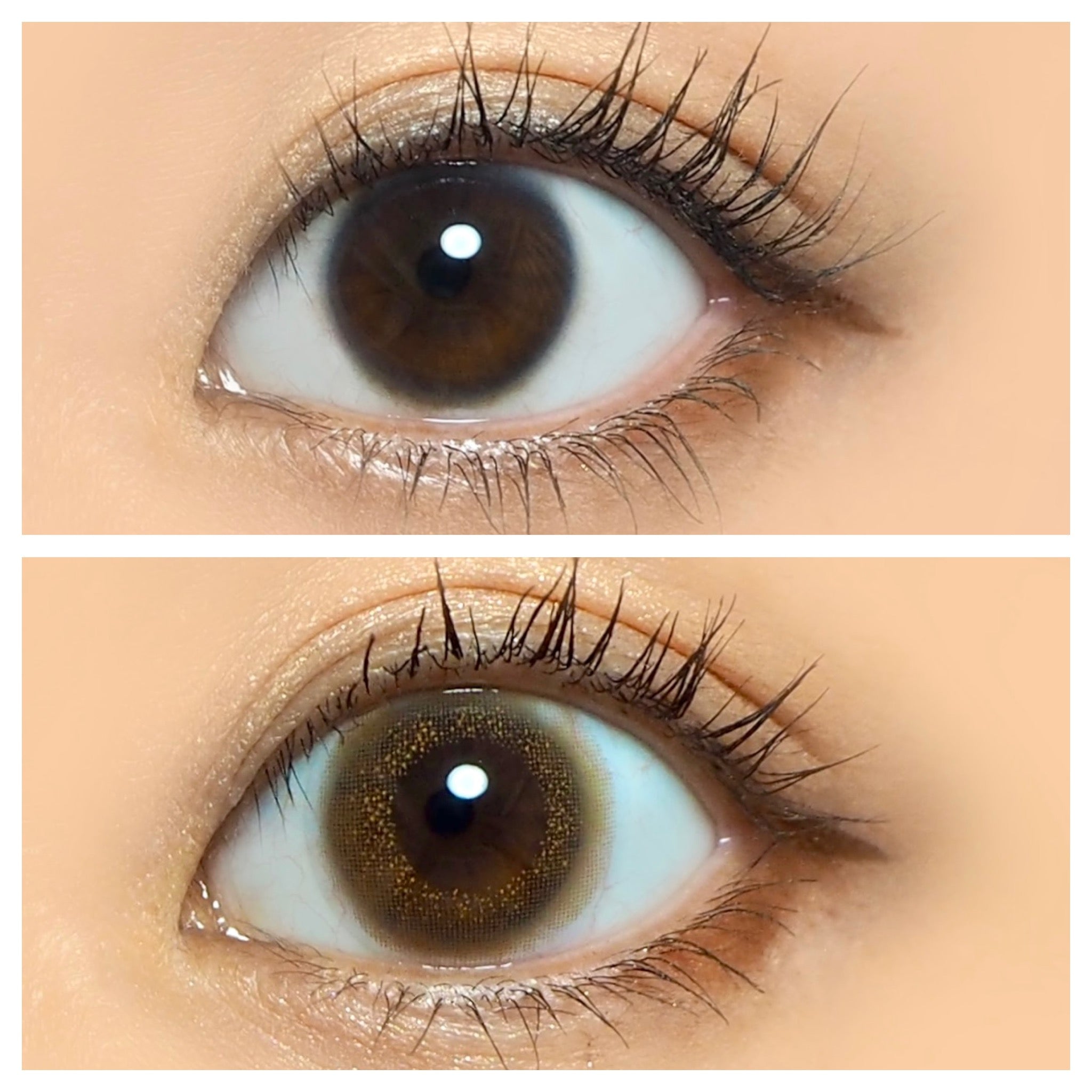 Bambi Series】Vintage Hazel | 1day Colored Contact Lens