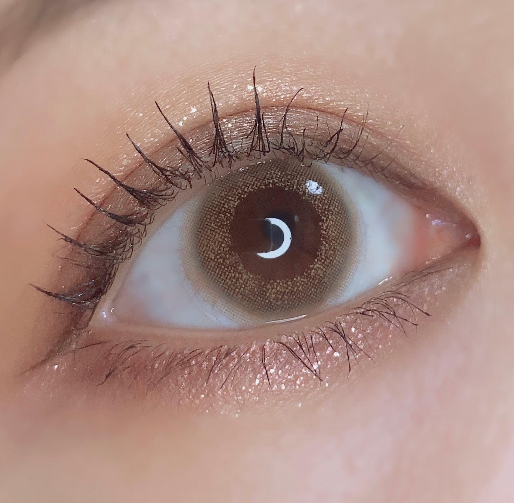 Vintage Hazel [Bambi Series] | 1day Colored Contact Lens